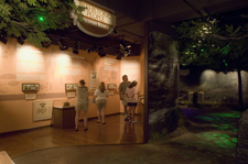 Discovery Room 2