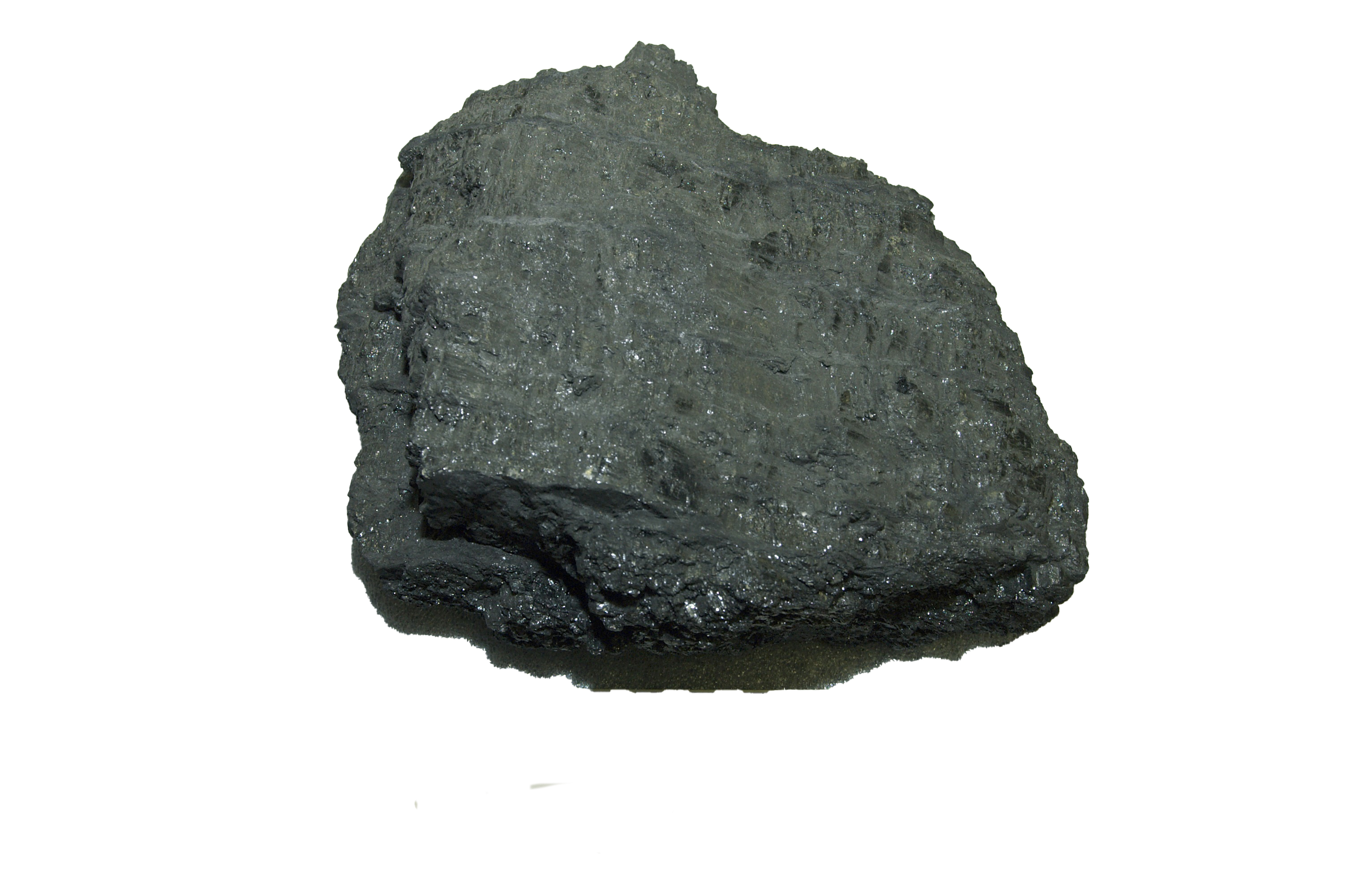 bituminous coal